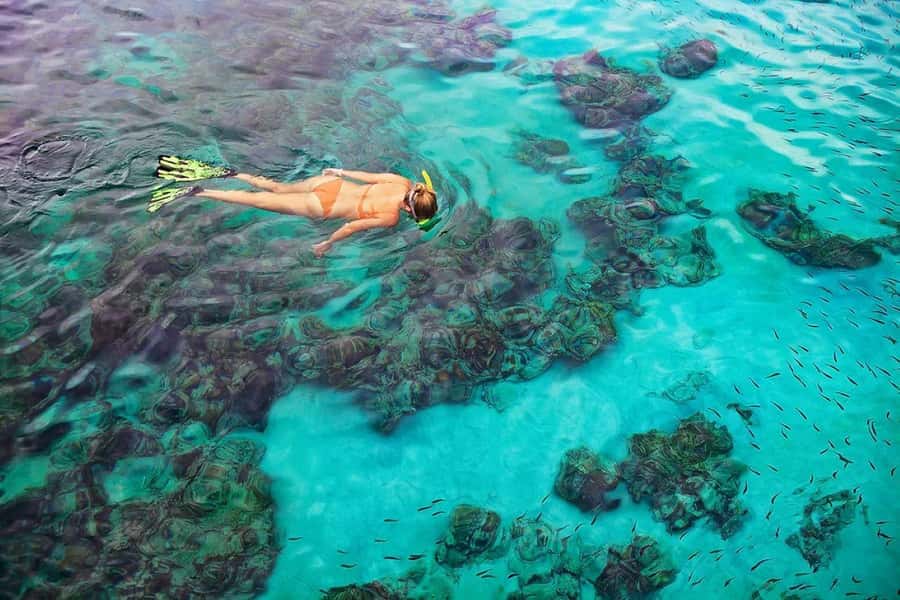 Kailua Kona: Dolphin, Sea Cave and Captain Cook Snorkel Tour - Snorkeling at Captain Cook Monument