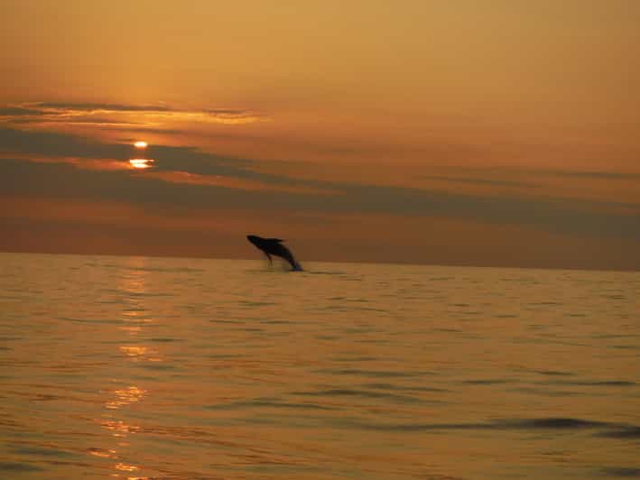 Kailua-Kona: Dolphin Watch & Double-Reef Snorkel Tour - Setting out from Hawaii Marine Life Charters