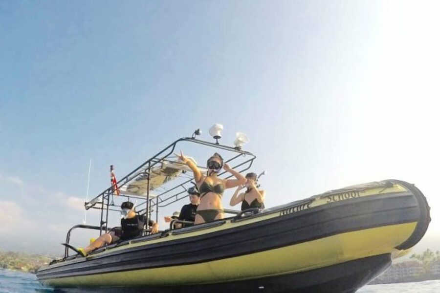 Kailua-Kona: Dolphin Watch & Double-Reef Snorkel Tour - Who will get the most from this Kona tour