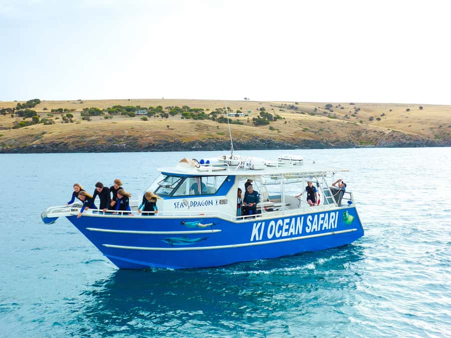 Kangaroo Island: Dolphin, Seal, and Swimming Boat Tour - Key points before you book