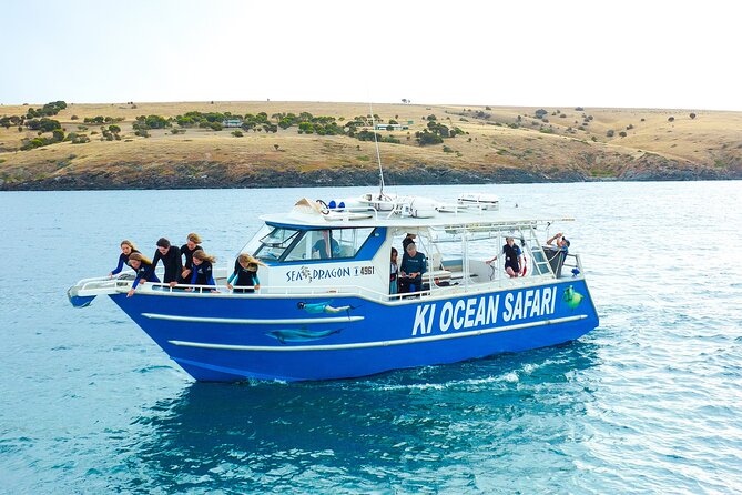 Kangaroo Island - Swim with Dolphins/Seals/Coastal Snorkel - Key points to know before booking