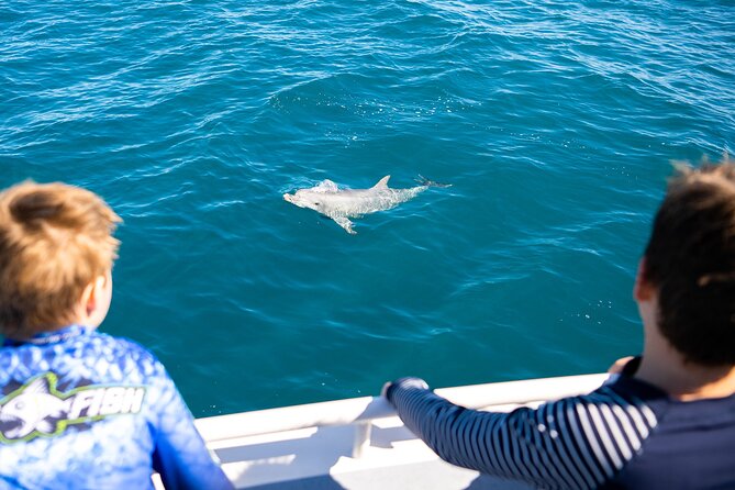 Kangaroo Island - Swim with Dolphins/Seals/Coastal Snorkel - Cold water, changing conditions, and comfort