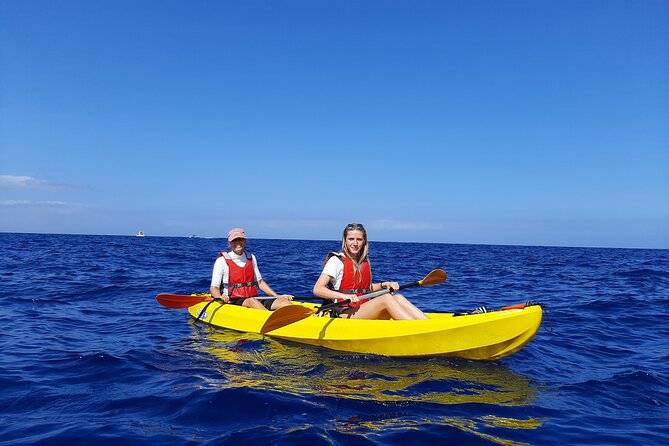 Kayak Safari with Dolphin and Turtle Watching in Guaza - What this Guaza kayak safari actually offers