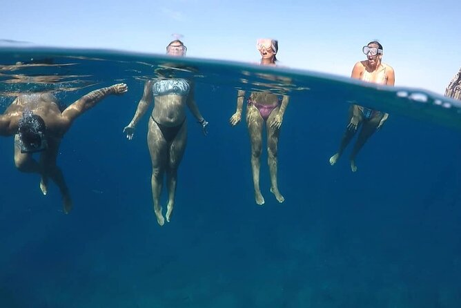 Kayak Safari with Dolphin and Turtle Watching in Guaza - Guides, pace, and safety on open water