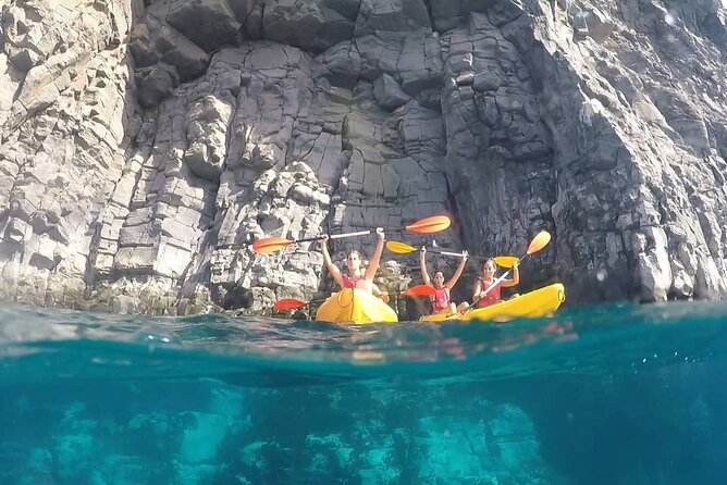 Kayak Safari with Dolphin and Turtle Watching in Guaza - Who should book this experience?
