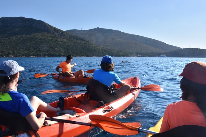 Kayak tour with aperitif and dolphins - Figarolo Island combines an aperitif with dolphin watching