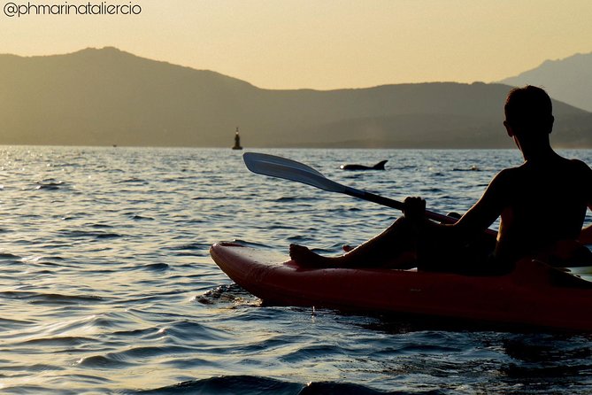 Kayak tour with aperitif and dolphins - Is $54.42 a fair price?