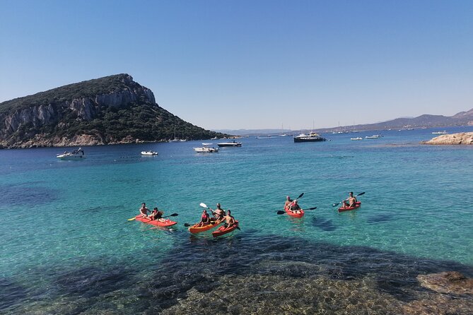 Kayak tour with aperitif and dolphins - Who will enjoy this most?