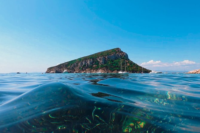 Kayak tour with aperitif and dolphins - Practical details that make the day easier