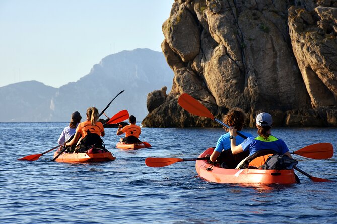 Kayak tour with aperitif and dolphins - Cala Moresca brings clear water and easy wildlife watching