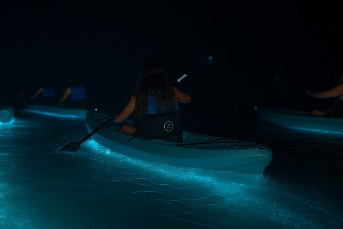 Kayak Tours and Rentals. Dolphins, Manatees, and Bioluminescence! - Key points to know before you book