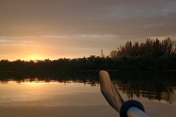 Kayak Tours and Rentals. Dolphins, Manatees, and Bioluminescence! - Why the Indian River Lagoon is the main attraction