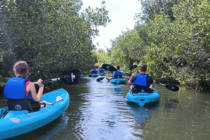 Kayak Tours and Rentals. Dolphins, Manatees, and Bioluminescence! - Is the $55 price a good value?
