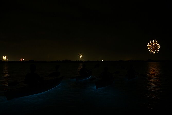 Kayak Tours and Rentals. Dolphins, Manatees, and Bioluminescence! - Meeting point, fitness, and practical planning
