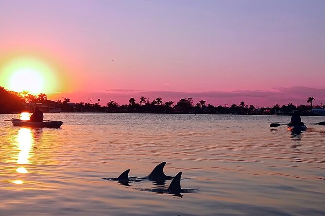 Kayak Tours and Rentals. Dolphins, Manatees, and Bioluminescence! - Weather, cancellations, and schedule checks