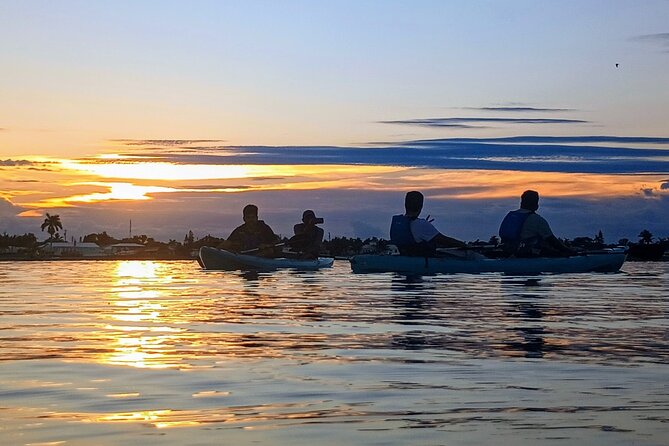 Kayak Tours and Rentals. Dolphins, Manatees, and Bioluminescence! - Who will enjoy this kayak tour most?