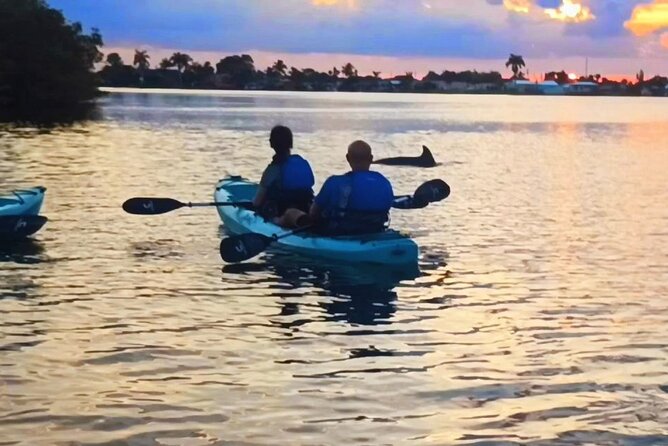 Kayak Tours and Rentals. Dolphins, Manatees, and Bioluminescence! - Daytime eco tours with dolphins and manatees