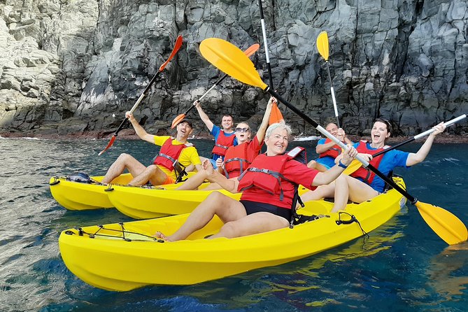 Kayak with Dolphin & Turtle Watching Private Tour - Key points to know before booking