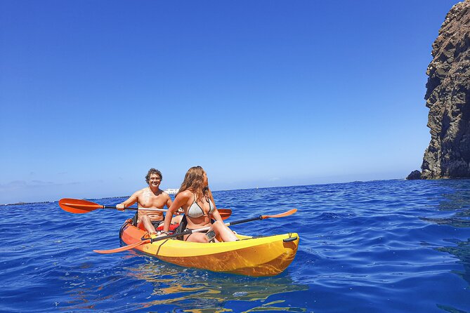 Kayak with Dolphin & Turtle Watching Private Tour - A three-hour route along Tenerife’s south coast