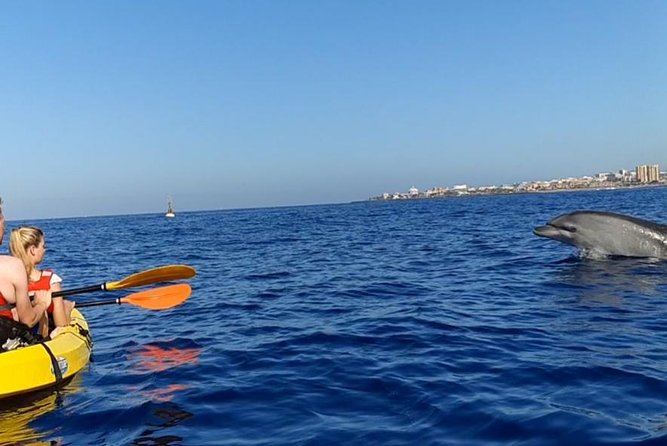 Kayak with Dolphin & Turtle Watching Private Tour - Palmar Cave and the Guaza cliffs