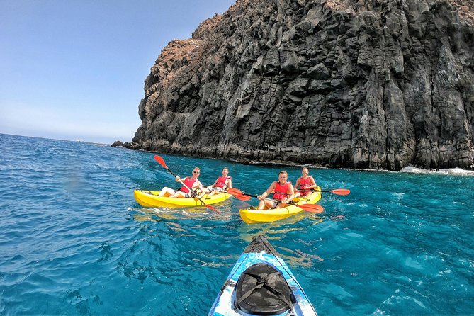 Kayak with Dolphin & Turtle Watching Private Tour - Is $110.91 a fair price?