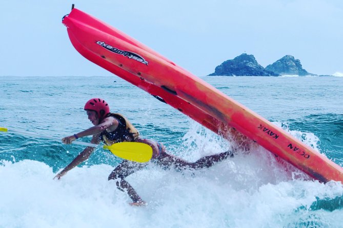 Kayaking with Dolphins in Byron Bay Guided Tour - Turtles, whales, and the open-water reality