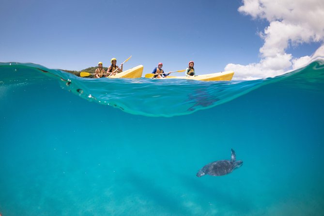 Kayaking with Dolphins in Byron Bay Guided Tour - The beach stop and return paddle