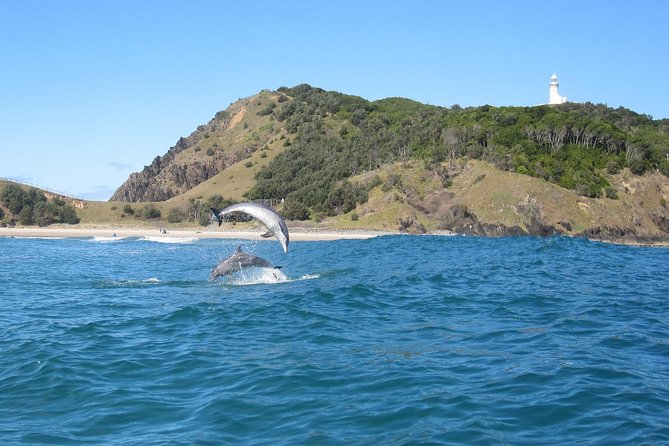 Kayaking with Dolphins in Byron Bay Guided Tour - Looking for the local dolphin pod