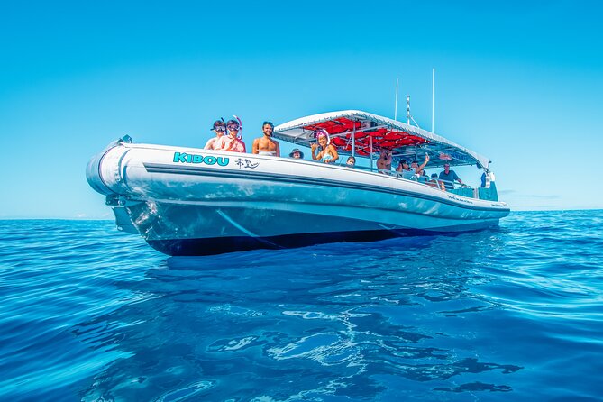 Kealakekua Bay Snorkel & Dolphin Safari In Kona Big Island (4hrs) - Lunch from the onboard grill