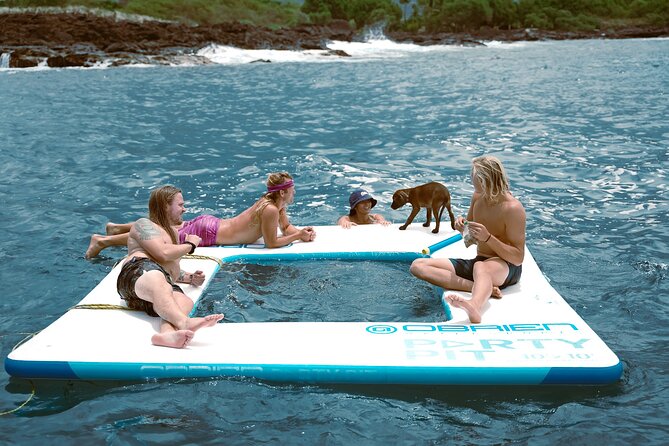Kealakekua Bay Snorkel & Dolphin Safari In Kona Big Island (4hrs) - Searching for dolphins in deeper water