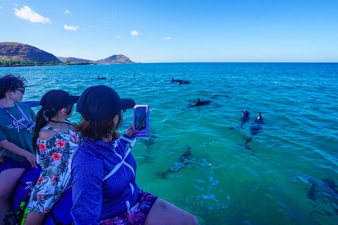 Kealakekua Bay Snorkel & Dolphin Safari In Kona Big Island (4hrs) - Is $150 a fair price?