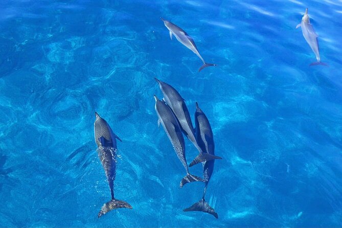 Kealakekua Bay Snorkel & Dolphin Safari In Kona Big Island (4hrs) - Captain Cook Monument and the meaning of the bay