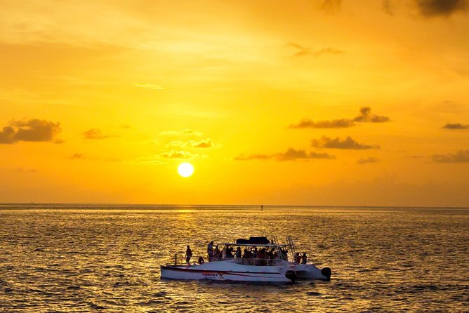 Key West Dolphin and Snorkel Experience - Key points to know before you book
