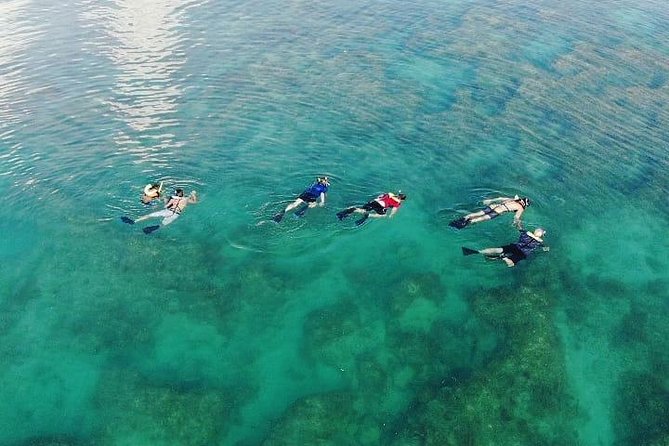 Key West Dolphin and Snorkel Experience - Weather, comfort, and what to bring