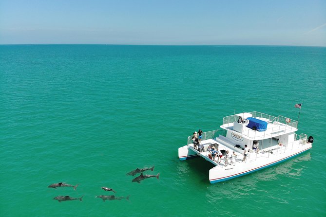 Key West Dolphin and Snorkel Experience - From 201 William Street to the open water