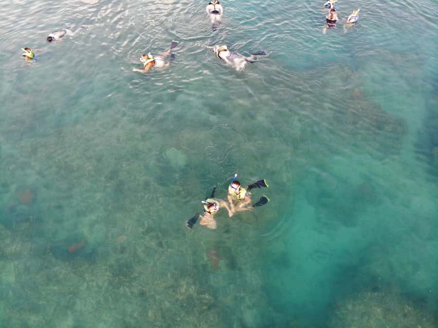 Key West: Dolphin & Reef Snorkel Trip with Sunset Option - Should you book the Dolphin and Reef Snorkel Trip?