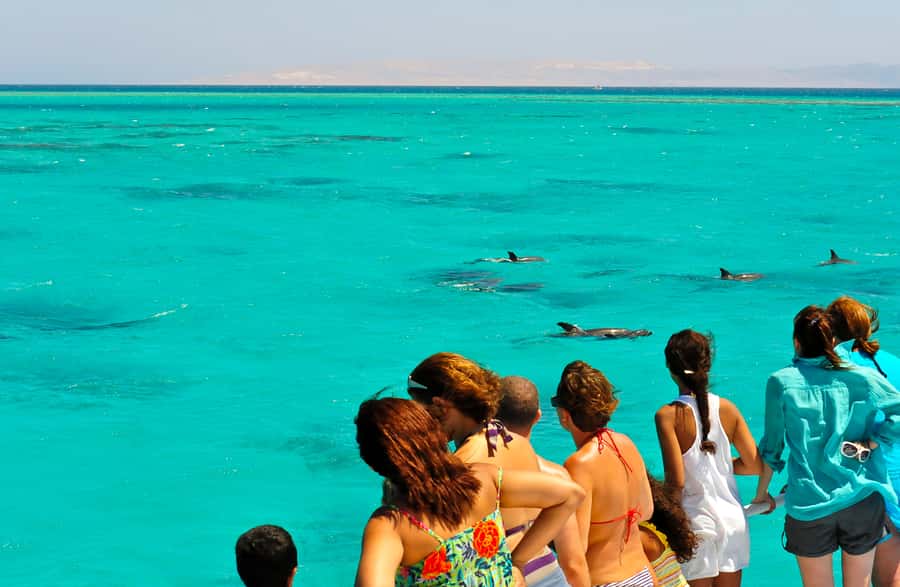 Key West: Dolphin & Reef Snorkel Trip with Sunset Option - Choosing between the 11 AM and sunset trips