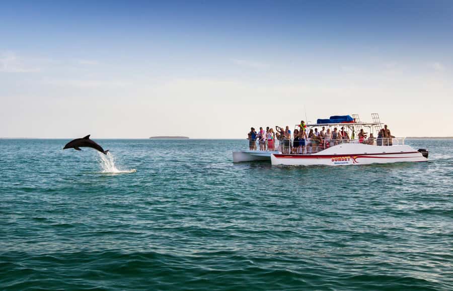 Key West: Dolphin & Reef Snorkel Trip with Sunset Option - What the $76 price really covers