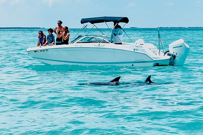 Key West Dolphin & Snorkeling Tour - Small Group - Key points to know before you book