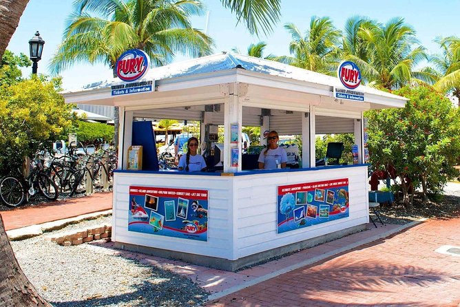 Key West Dolphin Watch and Snorkel Tour - Eco Adventure - Equipment, instruction, and swimming ability