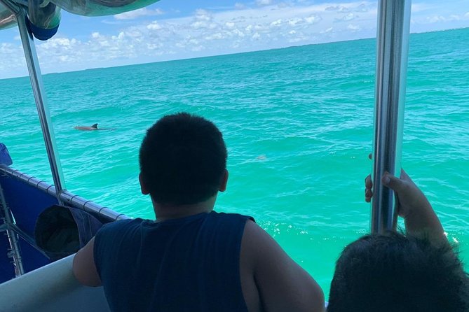 Key West Dolphin Watch and Snorkel Tour - Eco Adventure - Drinks, comfort, and the three-hour rhythm