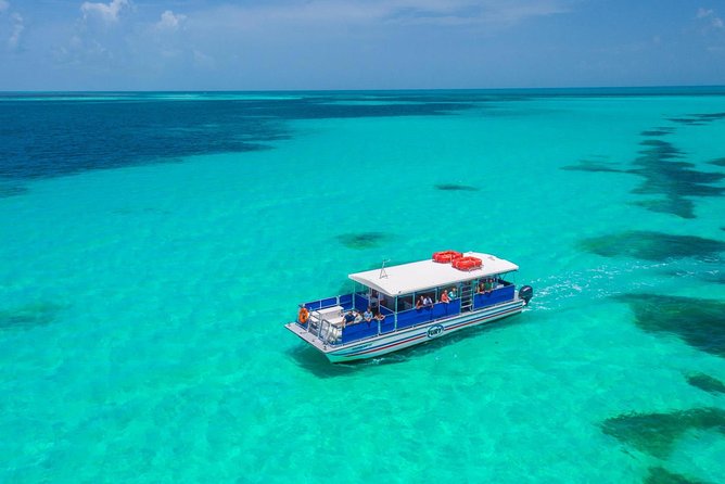 Key West Dolphin Watch and Snorkel Tour - Eco Adventure - The crew and the safety side of the trip