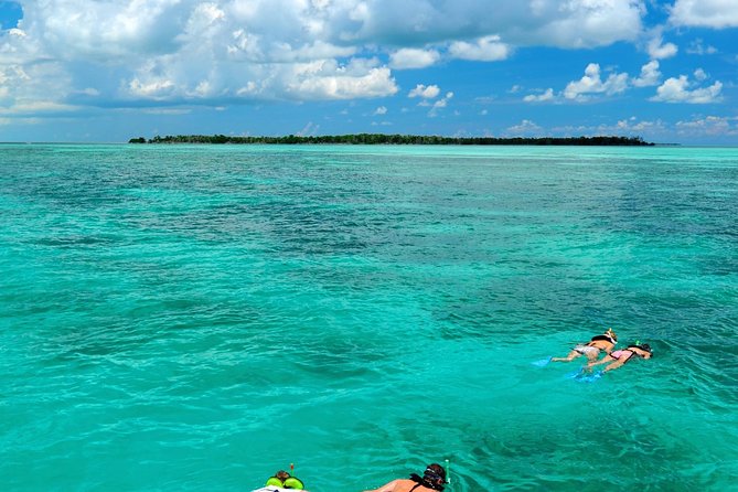 Key West Dolphin Watch and Snorkel Tour - Eco Adventure - The snorkeling stop: shallow, calm, and not a full reef trip