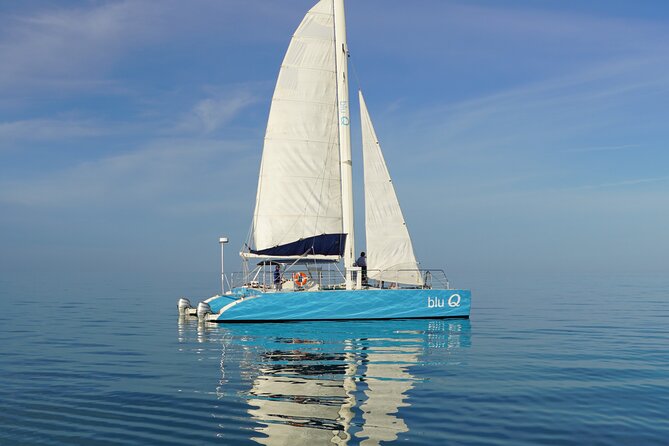 Key West Dolphin Watch and Sunset Sail on Catamaran - Setting out from 120 Margaret Street