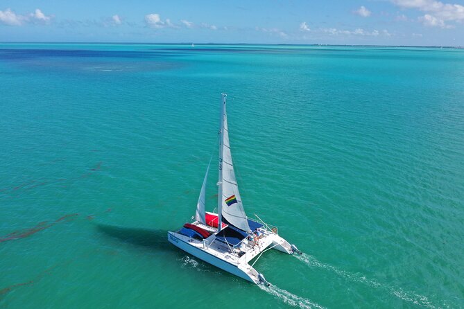Key West Dolphin Watch and Sunset Sail on Catamaran - Weather, cancellations, and practical planning