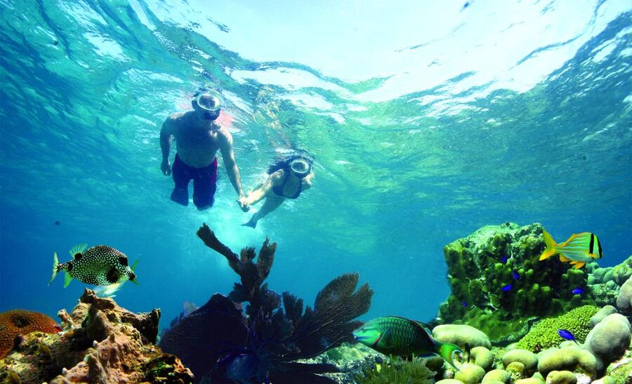 Key West: Dolphin Watching and Snorkeling Eco Cruise Tour - Key points at a glance