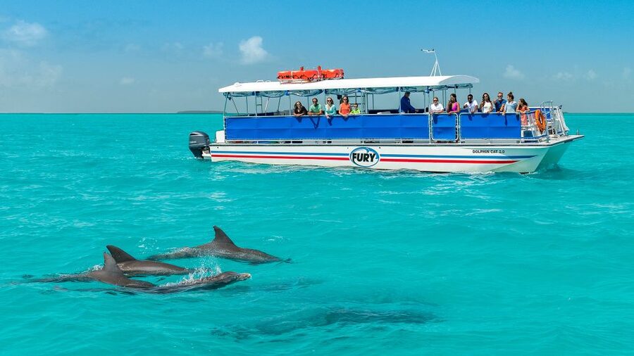 Key West: Dolphin Watching and Snorkeling Eco Cruise Tour - From Captain’s Corner to open Gulf water