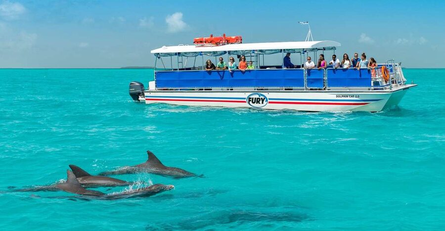 Key West: Dolphin Watching and Snorkeling Eco Cruise Tour - Who will enjoy this trip most