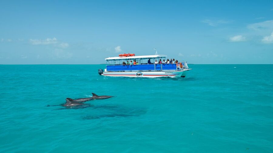 Key West: Dolphin Watching and Snorkeling Eco Cruise Tour - Practical details before you book