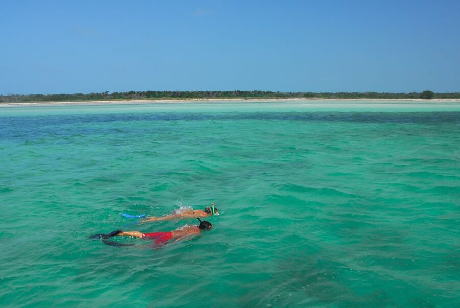Key West: Dolphin Watching and Snorkeling Eco Cruise Tour - FAQ